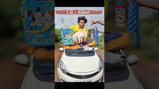 चलती Car मे खरगोश🐰पालना 🤣 rabbit comedy [upl. by Vivl]