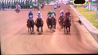 Dornoch WINS The 2024 Haskell Stakes [upl. by Anastasio]