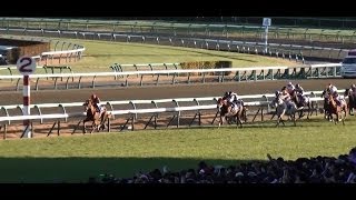 現地撮影 2013年有馬記念 オルフェーヴル引退レース [upl. by Savitt]