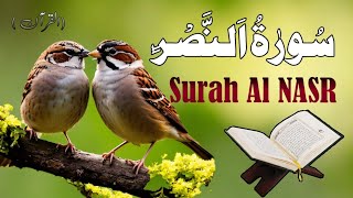 Surah Al NASR  Recitation of Surat alNasr  recitation of Quran سورۃ النصر [upl. by Aneez682]