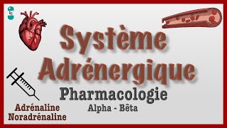 Système Adrénergique  Pharmacologie catécholamines agonistes antagonistes [upl. by Aliwt]