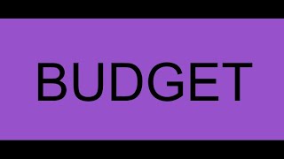 Budget Committee  November 19 2024 [upl. by Eseer]