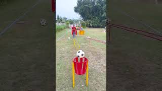 football accuracy and a whole lot of fun [upl. by Mick984]