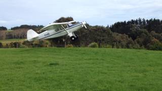 Spectacular Takeoff Oratex covered Bearhawk 4 seater New Zealand [upl. by Charmaine93]