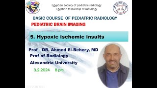 Hypoxic Ischemic Insults [upl. by Adnael]