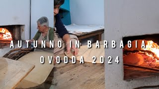 Autunno in Barbagia Ovodda 2024shorts [upl. by Cai]