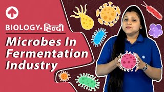 Microbes In Fermentation Industry  Biology [upl. by Ailana]