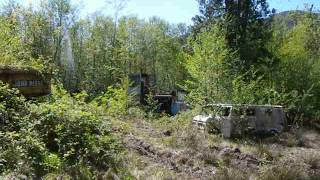 Property Full of Abandoned Logging Equipment [upl. by Ranna]