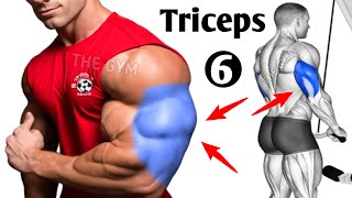 6 Best Triceps Exercises for Muscle Growth  Triceps Workout [upl. by Eninaej]