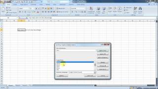 How To Do Spell Check In Excel [upl. by Karlens]