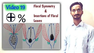 FLORAL SYMMETRY amp INSERTIONS OF FLORAL PARTS  Types of Flower on the basis of Symmetry amp Insertion [upl. by Bird]