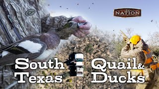 Hunting Quail and Ducks in South Texas  DU Nation [upl. by Fahey6]