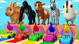 Long Slide Game With Elephant Gorilla Buffalo Hippopotamus Tiger  3d Animal Game  Funny 3d Animals [upl. by Aedni]