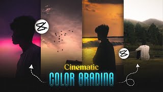 Instagram CINEMATIC Reels COLOR GRADING in Capcut  For Begginers [upl. by Sirovart]