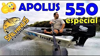 Mercury 25 Sea Pro  Levefort Apolus 550 especial [upl. by Ernie]