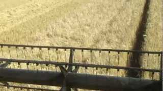 Harvest Log 2012 Day 2 [upl. by Bashemeth]