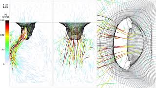 M7 Mitral valve simulation no atrial systole 10x slow motion [upl. by Benn327]