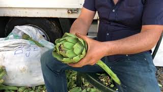 Giant artichokes cleaned in a Turkish Street Bazar in 4 K [upl. by Jaquelin]