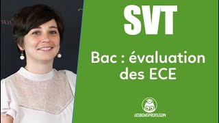 Bac de SVT  les ECE  SVT  Terminale  Les Bons Profs [upl. by Gothard]