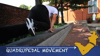 Parkour From Scratch 5  Quadrupedal Movement Tutorial  How to start Parkour [upl. by Neillij261]