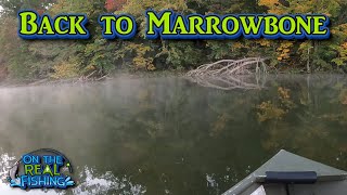 Early Fall Fishing at Marrowbone Lake Joelton TN [upl. by Ainoloppa]