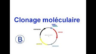 Clonage moléculaire [upl. by Cooke]