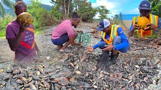 HE TRAVELED 140 MILES TO PORTLAND FOR THESE FISH MUST WATCH🖥 [upl. by Haeel]