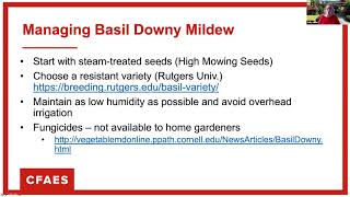 A Primer on CucurbitBasil Downy Mildew Monitoring [upl. by Ihcelek602]