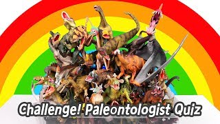 EN Challenge Paleontologist Quiz dinosaurs names for children collecta figuresㅣCoCosToy [upl. by Akayas826]