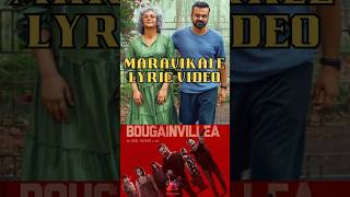 Maravikale Full Song Lyrics  Bougainvillea Jyothirmayi Kunchacko Boban Amal Neerad Sushin Shyam [upl. by Zamora806]