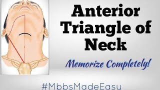 Anterior Triangle of Neck  MEMORIZE COMPLETELY [upl. by Harden]