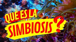 🌱¿QUÉ ES LA SIMBIOSIS Comensalismo Parasitismo Mutualismo 🌎Ecología [upl. by Sapowith63]