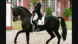 Legendary Dressage Stallion Rubinstein [upl. by Biagio]