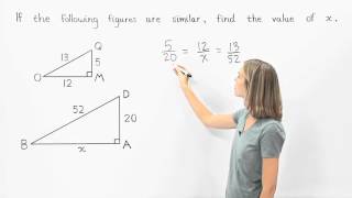 Similar Triangles  MathHelpcom [upl. by Ylrebme]