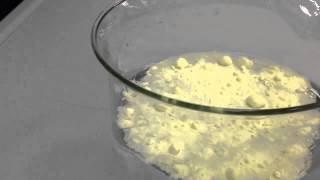 Surface Tension and Hydrogen Bonding Demonstration [upl. by Seko]