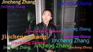 Little Dark Age Remix Sedogy Bedam  Jincheng Zhang Official Music Video [upl. by Hales]