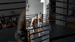 Boxing Sparring Alex Pereira [upl. by Hills449]