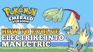 How To Evolve Electrike Into Manectric In Pokemon Emerald  Hoenn Region [upl. by Oesile]