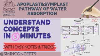 Mass flow bulk flow  Long distance transport Transport in Plant  Class11th  NEET5minconcepts [upl. by Hsemar]