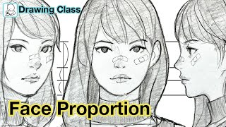 How to draw face  Face Proportions Drawing [upl. by Esinert]