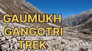 Gaumukh Gangotri Trek  Trekking in Uttarakhand  Trekking in Himalayas [upl. by Tilda]