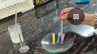 Calcium Oxide reacts with water  Calcium Hydroxide Lime Water  CBSE science experiment [upl. by Kendrick]