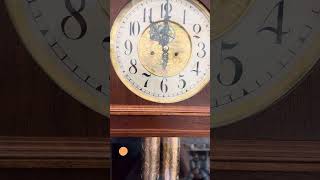 Antique 2Weight Vienna Regulator Grandfather Clock [upl. by Erialc]