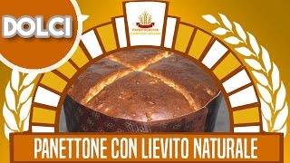 Panettone Tradizionale con Lievito Naturale [upl. by Annaiv691]