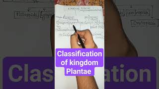 Classification of kingdom Plantae  Biology class 11 shortsplantae viralshorts viral [upl. by Cassella]