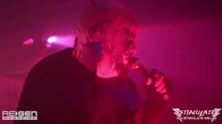 GOD MODULE  DEAR DEAD FLESH Live  STIMULATE NYC 3162013 [upl. by Chemush]