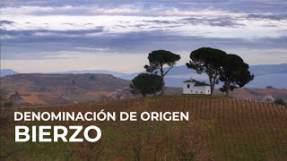 Spanish Wine Regions Bierzo [upl. by Ermey571]