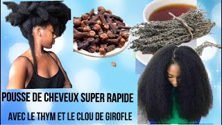 🍇194 CLOU DE GIROFLE ET LE THYM POUR UNE POUSSE DE CHEVEUX ULTRA RAPIDE ET UN CUIR CHEVEUX SAIN [upl. by Demetra210]