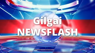 Gligai Newsflash [upl. by Publias848]