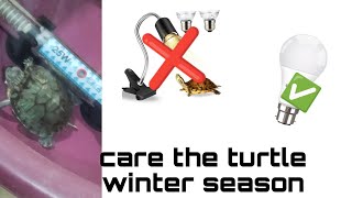 winter season care the turtle 🐢❄️ [upl. by Iadahs]